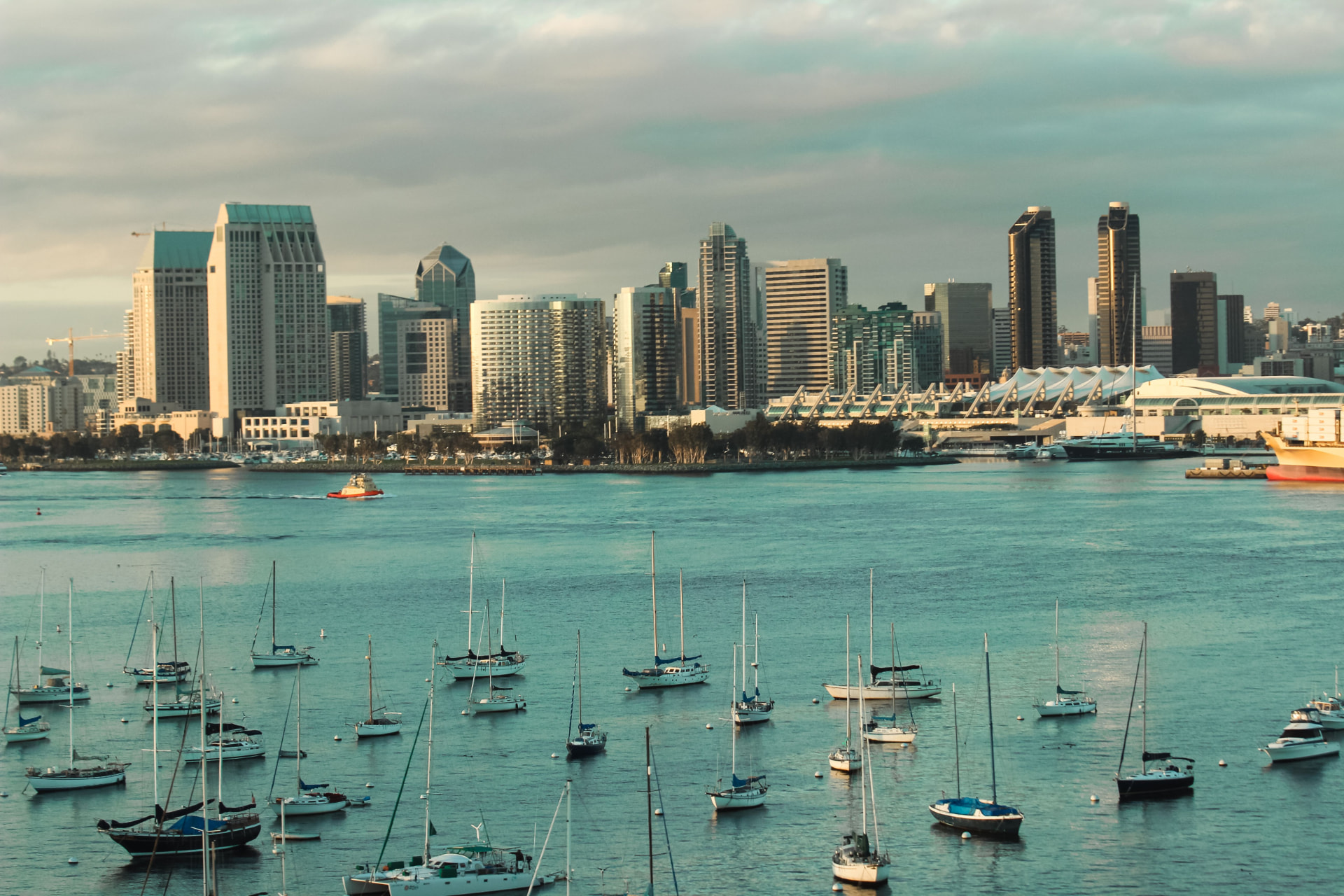 Sailboats in front of the San Diego skyline